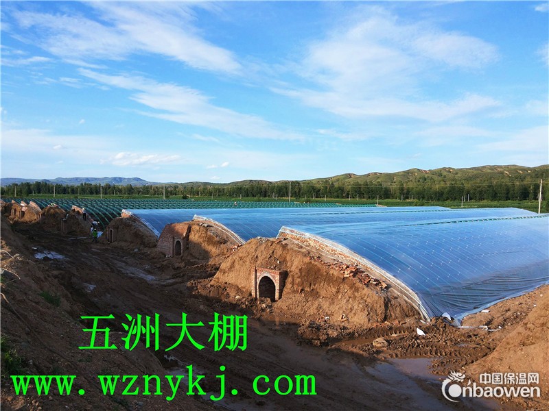 大棚造价  温室大棚设计  五洲公司专业设计