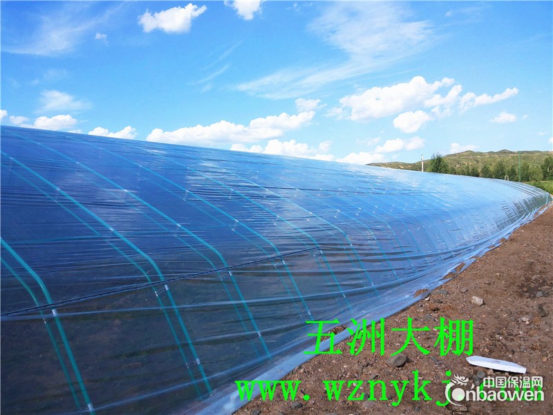 温室大棚保温被  温室大棚设计  五洲公司