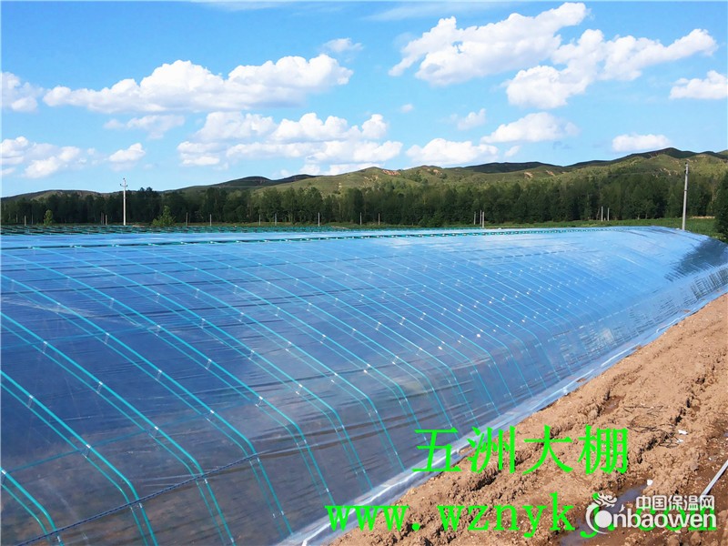 建设温室大棚公司  安阳五洲公司