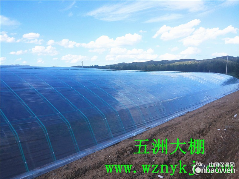 温室大棚  养殖大棚  花卉大棚