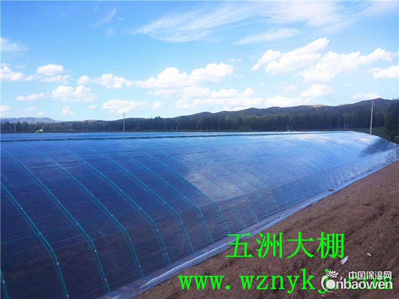 钢管镀锌大棚  复合材料大棚  蔬菜大棚  五洲公司