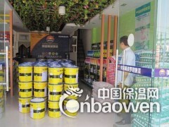 全球十大涂料品牌“阿波罗漆抗甲醛清味全效墙面漆”图2