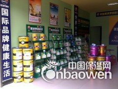 全球十大涂料品牌“阿波罗漆抗甲醛清味全效墙面漆”图3