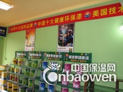 中国十大环保漆名牌油漆“阿波罗永饰丽环保墙面漆”图3