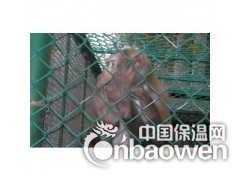 厂家直销体育场护栏网&动物园隔离网&勾花网图2