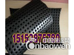 供应天津排水板图2