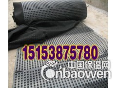 供应滨州排水板！！图2