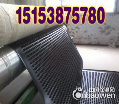 供应枣庄排水板！！