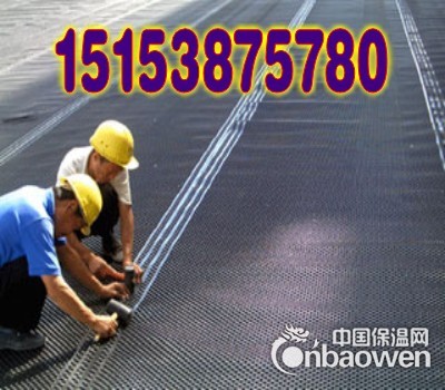 供应东营排水板！！