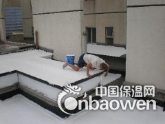 楼顶反射隔热涂料图3