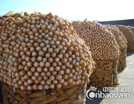 河北鑫宇工厂直销抹墙电焊网|圈玉米网|波浪铁丝网|荷兰网现货