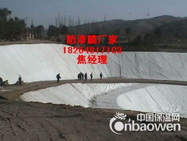 江苏藕池防水橡胶布{{鱼塘}}专用防渗土工膜