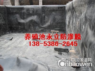 山东鱼塘虾池蓄水专用膜厂家直销