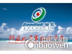 多功能升降玻璃直线斜边磨边机王图3