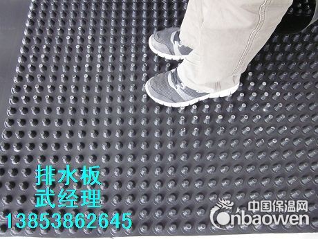 福建抗根刺绿化排水板