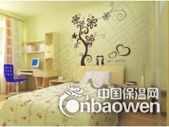 安徽硅藻泥十大品牌 心雅硅藻泥 硅藻泥代理 硅藻泥加盟图2