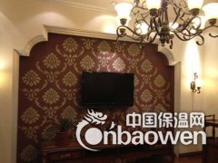 安徽硅藻泥十大品牌 心雅硅藻泥 硅藻泥代理 硅藻泥加盟图3