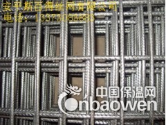 巧夺天工斯百得-钢筋网图3