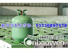 制冷剂，发泡剂，氟利昂，R22图2