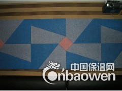 聚酯纤维板 环保吸音板 KTV/家庭影院墙体 吸音装饰板图3