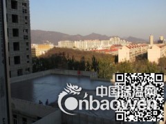 河北发泡混凝土丨屋顶轻集料混凝土丨保温隔热发泡水泥图2
