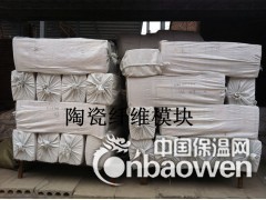 厂家生产火炬炉保温设计专用陶瓷纤维模块  高铝型硅酸铝模块图2