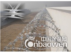 斌佳刀片刺网厂|刀片刺绳厂|刺网材质图2