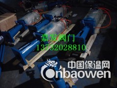 浙江永嘉县嘉发直联式启闭机厂家图3