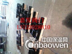 浙江温州嘉發电动铸铁镶铜方闸门价格图2