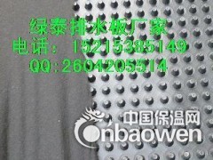 山东排水板/车库排水板/地下室顶板排水板规格齐全图2