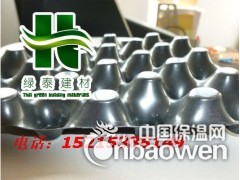 供应质量可靠地吉林车库排水板|园林绿化排水板|塑料排水板图2