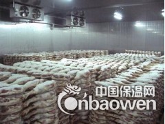安徽速冻设备怎么样？图2