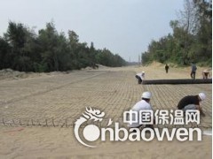 钢塑土工格栅生产厂家-18853851666图2