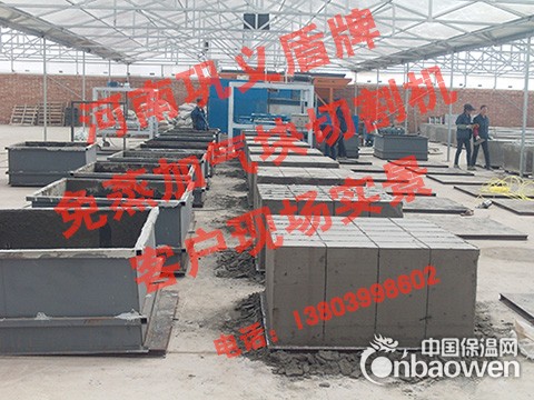 免蒸泡沫砖设备