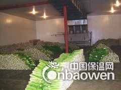 蔬菜冷藏库设备图3