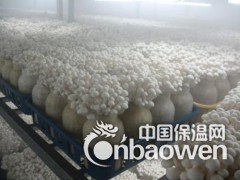 蔬菜保鲜库安装工程图2