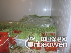 安徽水生蔬菜保鲜库报价图3