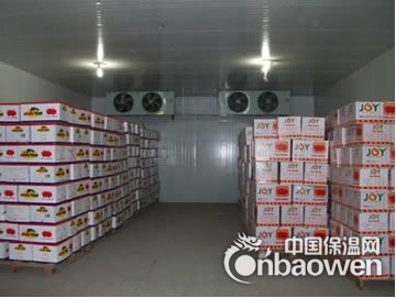 水果保鲜库造价