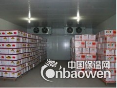 新疆水果保鲜库设计安装图2
