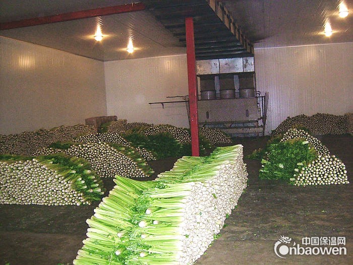 安徽果蔬冷藏保鲜库建造