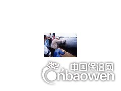 三PE管道补伤棒图2
