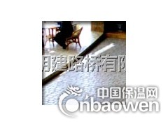 压花混凝土-专业施工明建彩坪图2