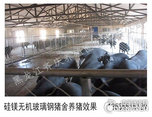 为吉林黑龙江内蒙古猪场提供猪舍设计猪舍建造优惠优质服务