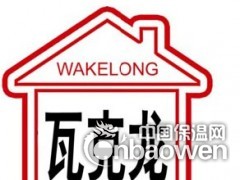 建筑干混砂浆用可再分散乳胶粉瓦克龙牌图3