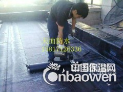 番禺市桥专业楼房防水补漏 专业锌瓦防腐防锈翻新图1