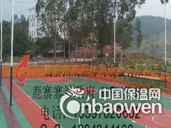 广西塑胶球场 广西硅PU篮球场预算 广西球场塑胶铺设图3