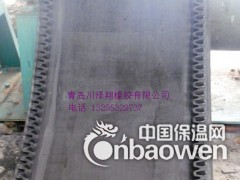大倾角挡边带 大倾角带挡边输送带 大倾角挡边胶带图3
