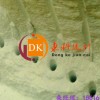 湖北无声膨胀剂怎么使用？咸宁岩石静裂剂生产厂家批发价格