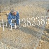 河堤加固格宾笼 水库防洪格宾石笼 镀高尔凡覆pvc格宾笼
