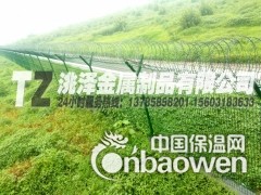 监狱护栏网（机场护栏网）高防安全护栏网